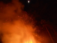 DSCN9287