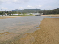 DSCN6412