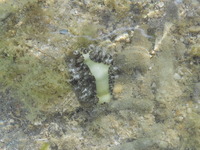 DSCN5224