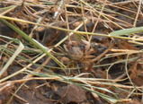 DSCN1789