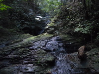 DSCN7960