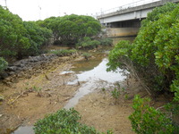 DSCN5264