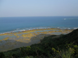 DSCN4664