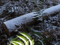 2601206_952946587_15large