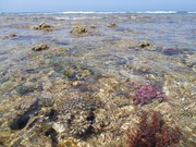 DSCN5065