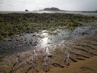 DSCN5226