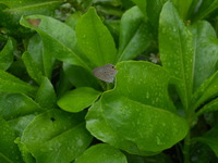 DSCN7886