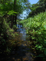 DSCN8008