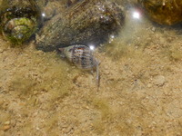 DSCN5006