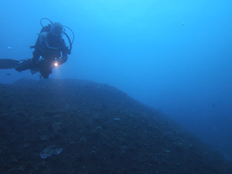 P9074618