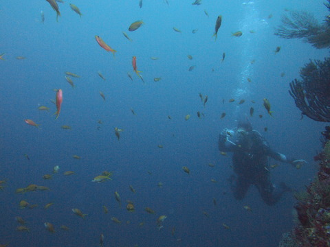 P9074663