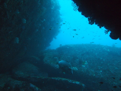 P9074630