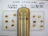 ゴーヤ吸水開始20080430