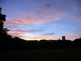 3a55a619.jpg