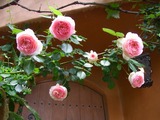 6bba08d6.jpg
