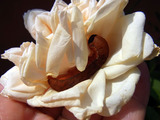 723cd088.jpg