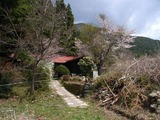 86f58a14.jpg