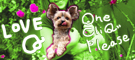 icon_e