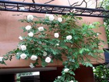 d9b141b1.jpg