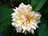 e9b6ca23.jpg