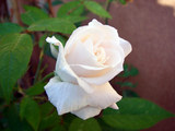 ee769572.jpg