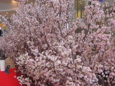CIMG7090