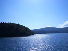 hakonea6