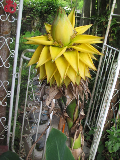 NO8