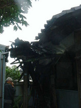 d5f75798.jpg