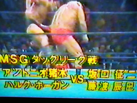 A猪木、H・ホーガン 対 坂口征二、藤波辰巳（1982．11．30