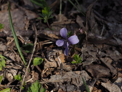 P4130075