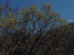 P4130033