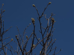 P4140035
