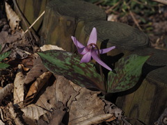 P4130070