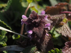 P4130129