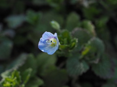 P4140040