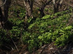 P4130073