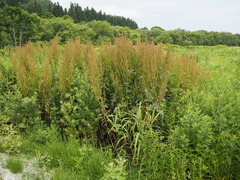 P7160076