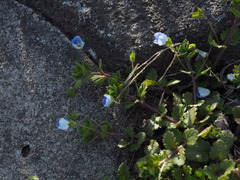 P4140041