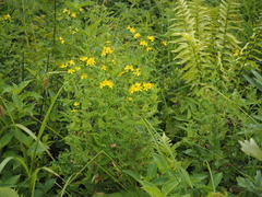 P7160060