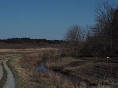 P4140001
