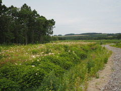 P7160102