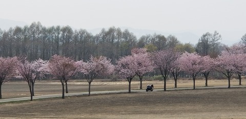 20180501_134826