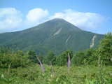 蓼科