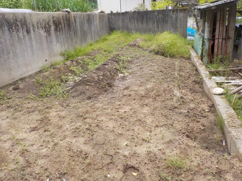 DSCN1446