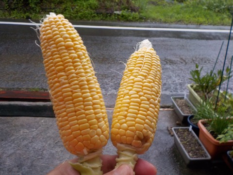 DSCN2223