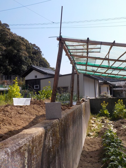 DSCN1151