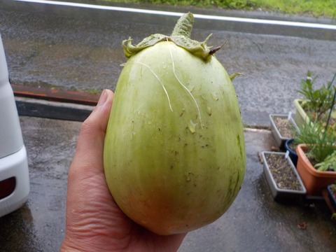 DSCN2227