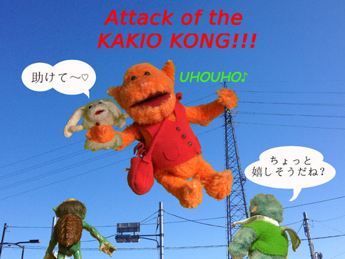 カキオコング2016-2