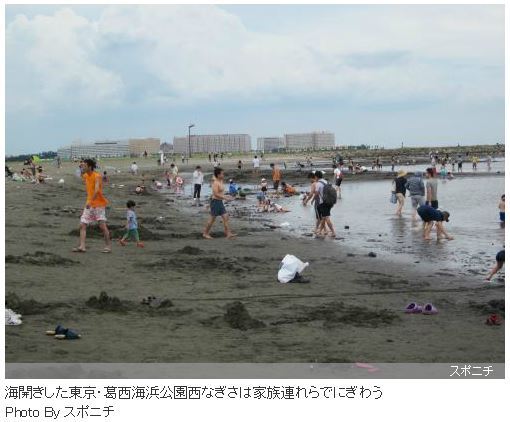 牡蠣百科|カキペディア|Kakipedia|日本オイスター協会オフィシャルブログ
